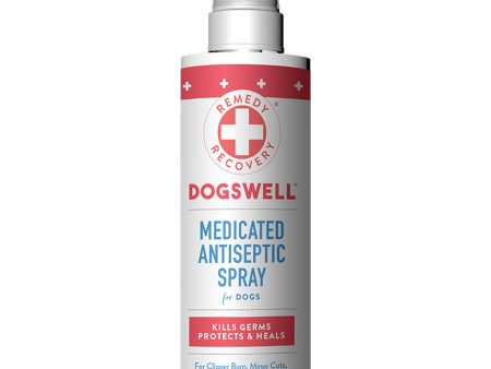 Dogswell Dog & Cat  Remedy & Recovery Medicated Hot Spot Spray 8oz. Online now