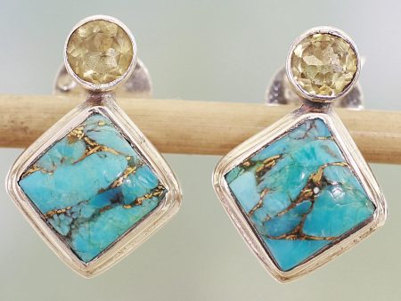 Turquoise Sparkle Turquoise Silver Earrings Online now