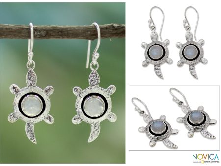 Turtle Wisdom Sterling Silver Earrings Online