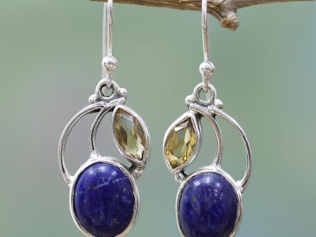 Starry Beauties Lapis Lazuli Dangle Earrings Online Sale