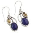 Starry Beauties Lapis Lazuli Dangle Earrings Online Sale