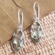 Nepenthes in Green Checkerboard Faceted Prasiolite Drop Earrings Supply