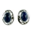 Seductive Blue Lapis Lazuli Button Earrings Sale