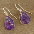 Regal Veins Purple Composite Turquoise Dangle Earrings from India Online Sale