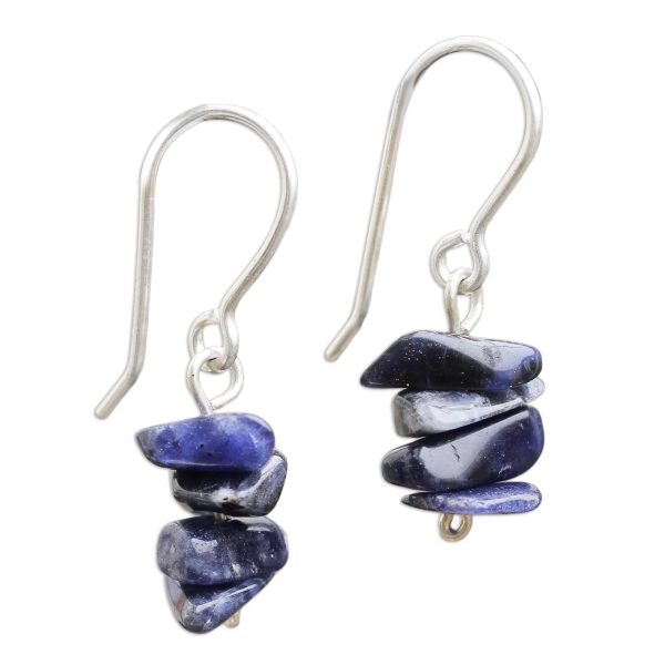 Nature s Harmony Sodalite Beaded Earrings For Cheap