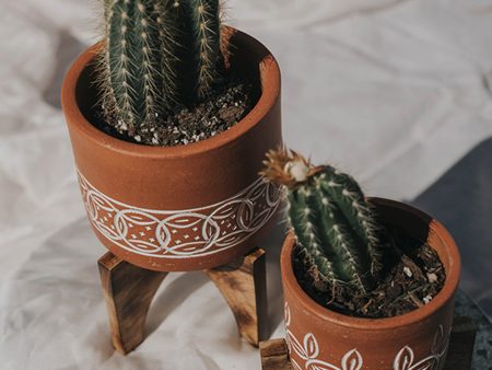 Medium Terracotta Mango Planter with Stand Supply