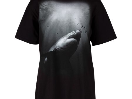 Sunburst Shark T-Shirt Sale