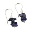 Nature s Harmony Sodalite Beaded Earrings For Cheap