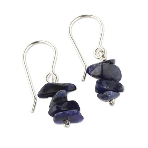 Nature s Harmony Sodalite Beaded Earrings For Cheap