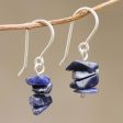 Nature s Harmony Sodalite Beaded Earrings For Cheap