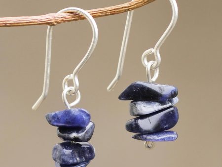 Nature s Harmony Sodalite Beaded Earrings For Cheap