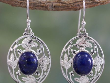 Ocean Avatar Lapis Lazuli Silver Dangle Earrings For Cheap