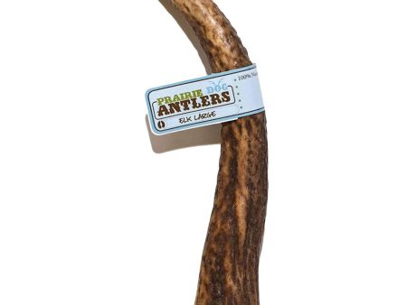 Prarie Dog Treats Elk Antler Hot on Sale