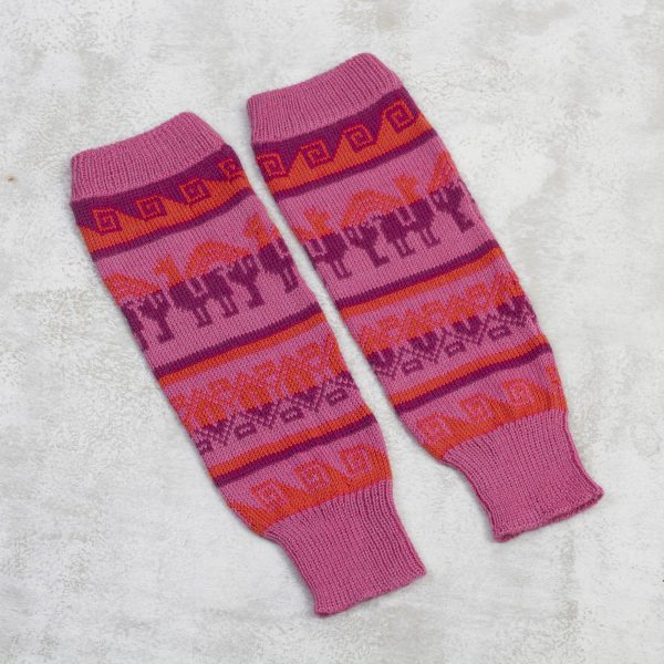 Rainbow Pink Alpaca Blend Leg Warmers Supply