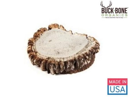 Elk Antler Burr Chews Sale